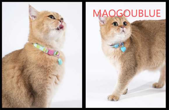 MAOGOUBLUE项圈绳，宠物安全的专业守护者