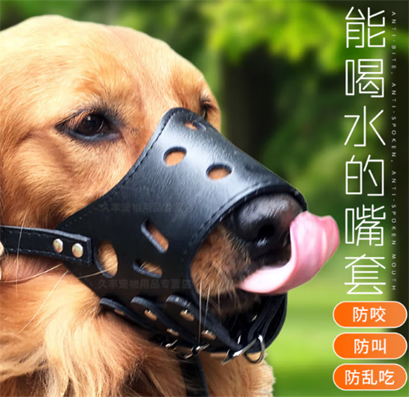 LZJV宠物狗嘴套怎么戴 LZJV宠物狗嘴套怎么戴