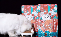 小猫吃的猫粮有哪些？妙修冻干猫粮精准匹配幼猫生长需求