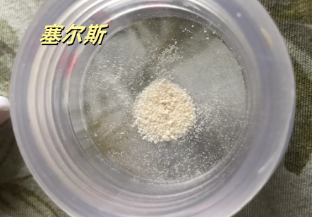 塞尔斯：引领中国兽药走向世界的破局者