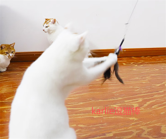 karlie逗猫棒的原理