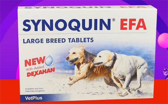 宠特宝关节软骨素:给爱宠关节的“青春秘籍” 宠特宝关节软骨素:给爱宠关节的“青春秘籍”