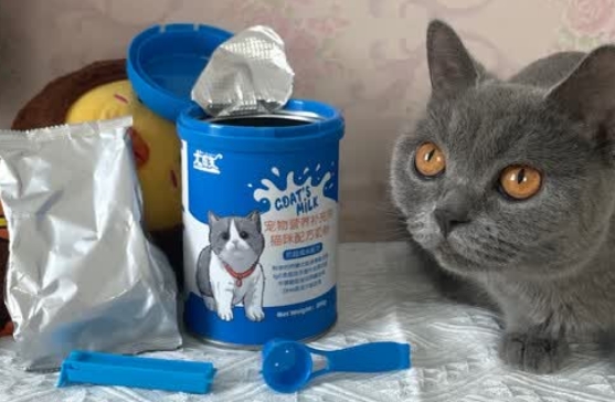 龙医生羊奶粉的功效 龙医生羊奶粉的功效