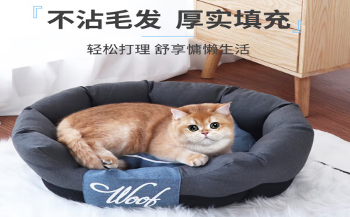 宠动员