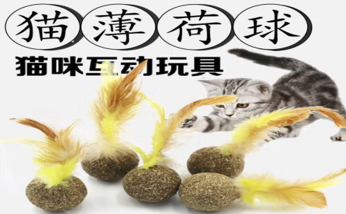 灶马