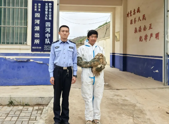 和静警民携手成功救助国家二级保护动物雕鸮 和静警民携手成功救助国家二级保护动物雕鸮