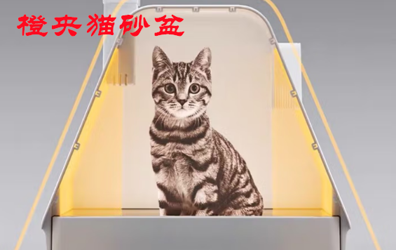 橙央猫砂盆：从新手套装到智能升级，重新定义养猫体验