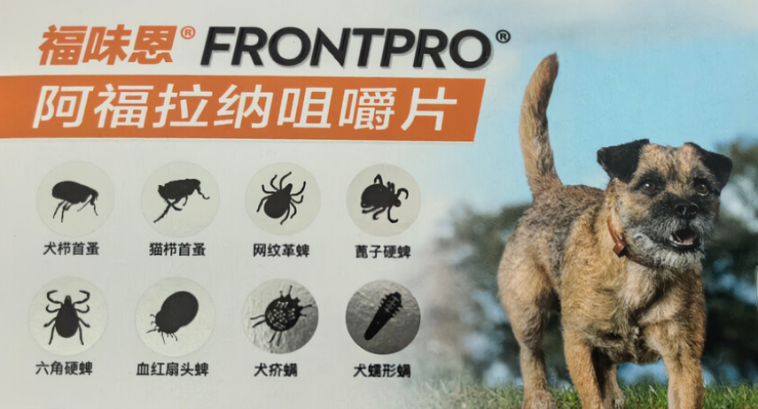 狗狗驱虫药什么牌子的好？福味恩，高能防护，守护爱犬健康