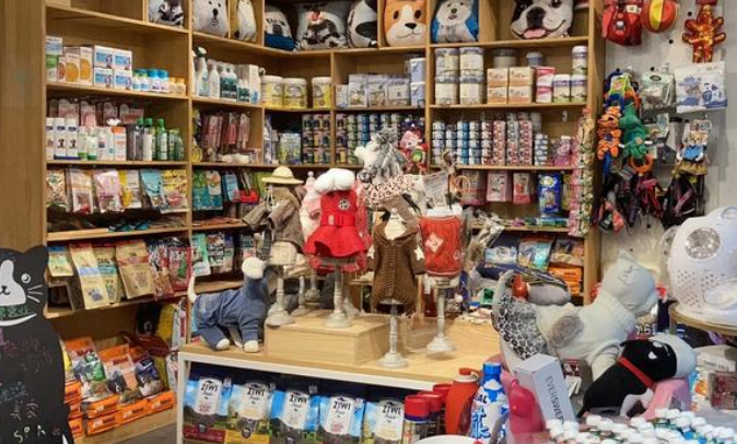 宠爱国际:用科技创新重新定义宠物医疗 宠爱国际:用科技创新重新定义宠物医疗