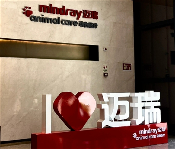 迈瑞动物医疗上班累不累 迈瑞动物医疗上班累不累