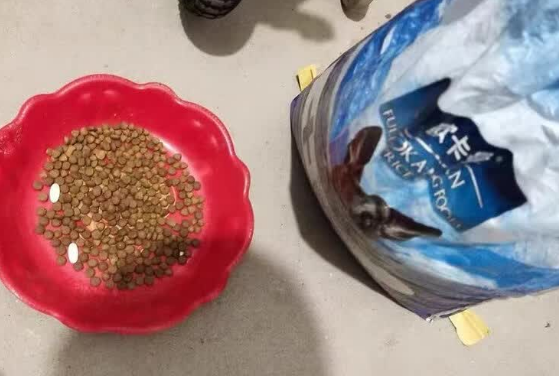 马犬狗粮品牌推荐——欧卡曼，吃出结实肌肉线！
