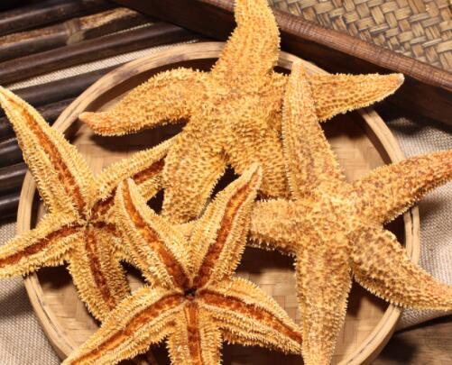 干海星怎么保存 干海星怎么保存