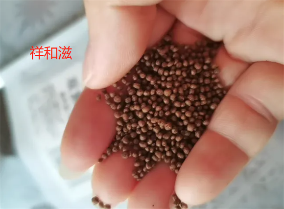 祥和滋饲料哪里有卖