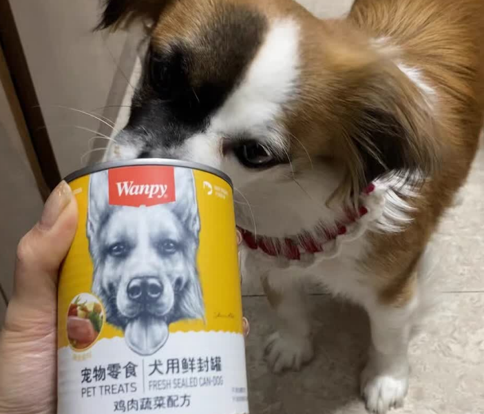 好吃的狗罐头推荐顽皮：舌尖上的美味，品控里的放心