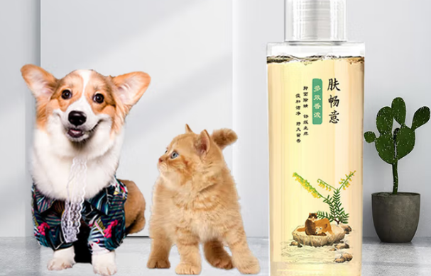 肤畅意属于什么档次