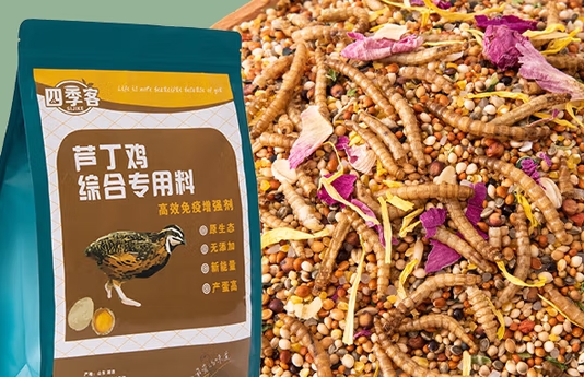 四季客芦丁鸡粮食是品牌吗 四季客芦丁鸡粮食是品牌吗