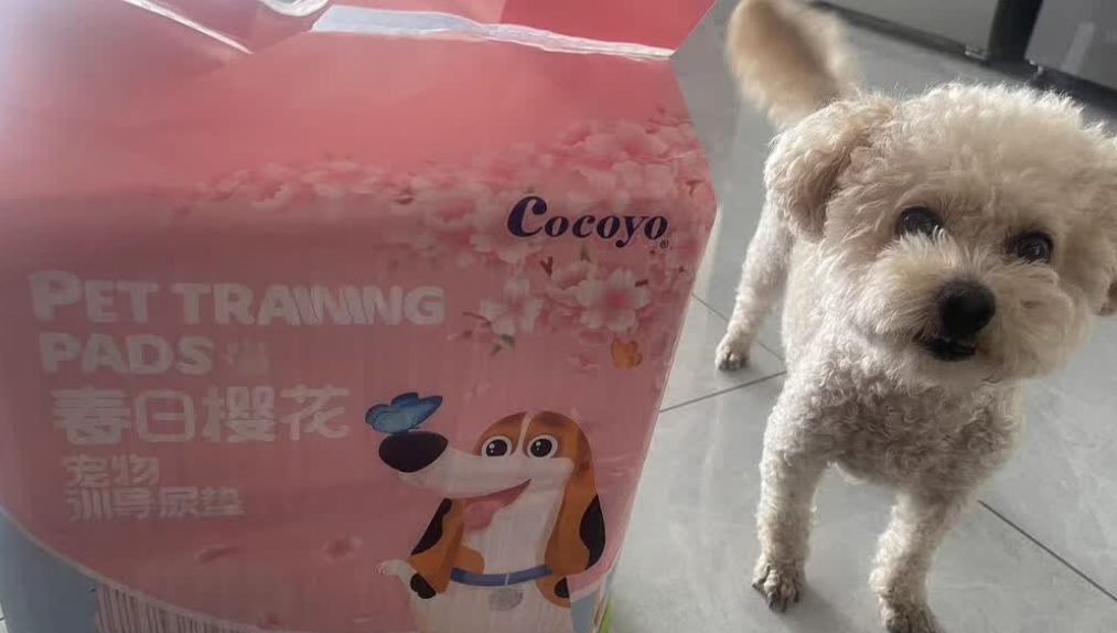 狗狗用的尿垫有哪些品牌?COCOYO防漏吸水,养宠家庭闭眼入! 狗狗用的尿垫有哪些品牌?COCOYO防漏吸水,养宠家庭闭眼入!