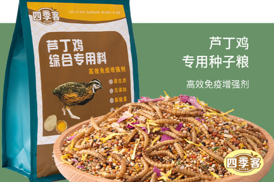四季客芦丁鸡粮食适口性怎么样 四季客芦丁鸡粮食适口性怎么样