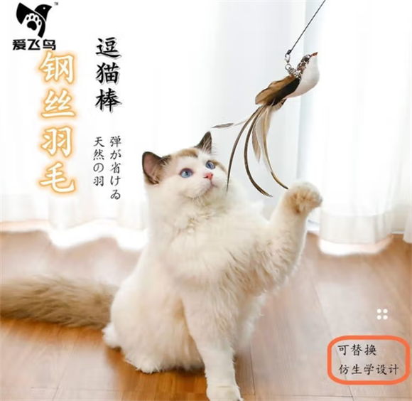 爱飞鸟猫猫玩具逗猫棒：解锁人猫互动新乐趣