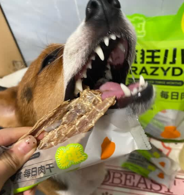 小狗零食哪个牌子好？疯狂小狗用品质征服铲屎官