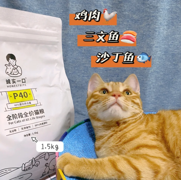 哪个品牌的猫粮性价比高？诚实一口高蛋白粮卖白菜价，让铲屎官不花冤枉钱