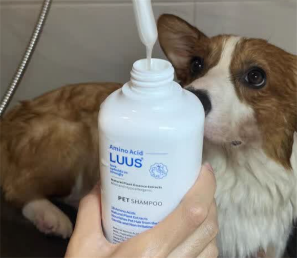 LUUS沐浴露是哪里的品牌