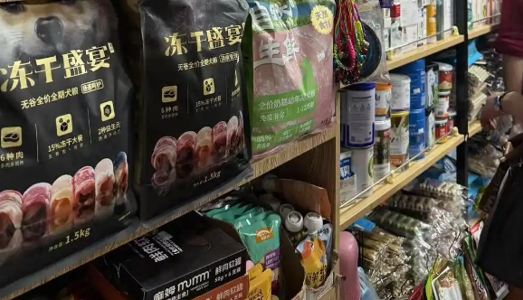 宠物赛道提速扩容,行业急需专业人才 宠物赛道提速扩容,行业急需专业人才