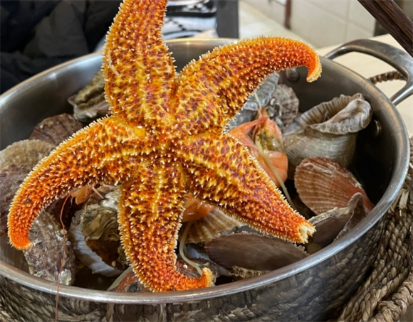 海星都可以吃吗