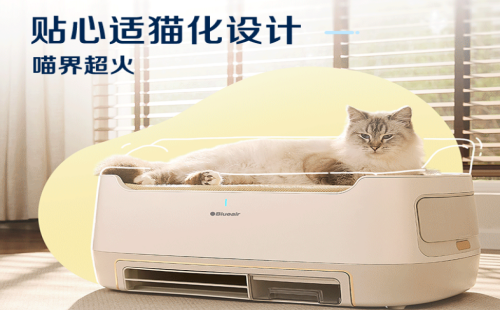布鲁雅尔