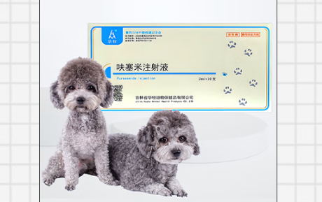 华牧兽药:科技赋能,打造动物健康守护者 华牧兽药:科技赋能,打造动物健康守护者