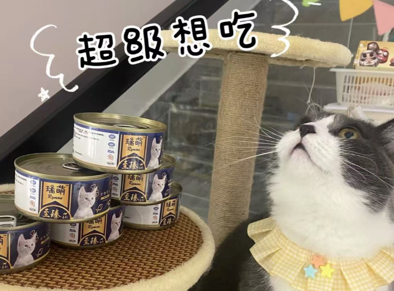 瑞萌Rymon猫罐头,让猫咪爱不释口 瑞萌Rymon猫罐头,让猫咪爱不释口