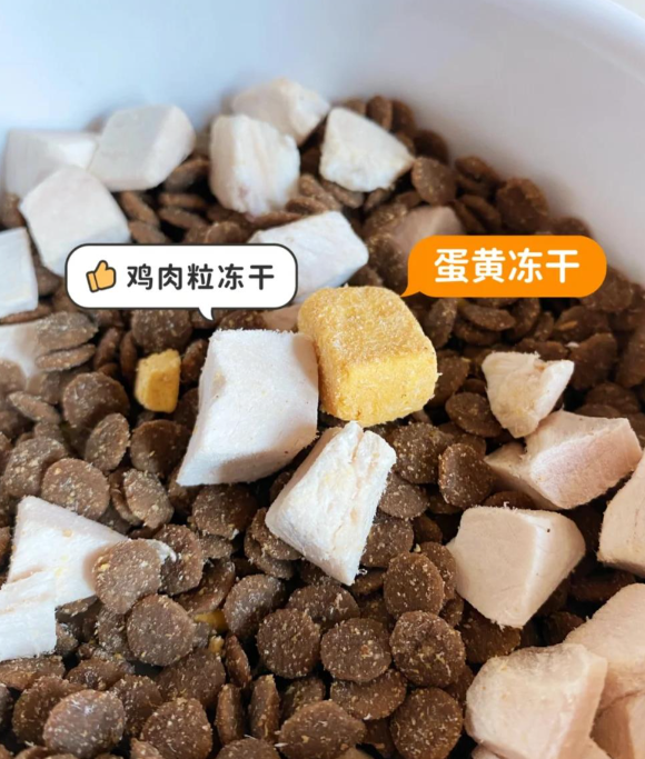 百元以内的猫粮怎么选？阿飞和巴弟高性价比猫粮深度测评！