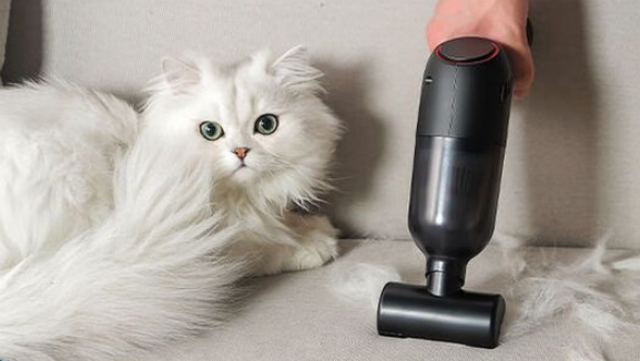 猫咪之家吸毛器多少钱 猫咪之家吸毛器多少钱