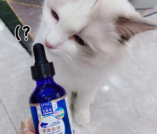 JPHC深海鱼油——宠物毛发护理新选择
