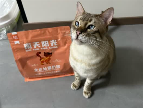 南天阳光猫粮多少钱 南天阳光猫粮多少钱