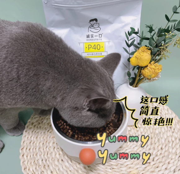 国产安全猫粮都有哪些？诚实一口敢亮安全底牌，高蛋白守护猫咪健康