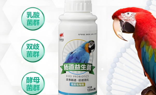 心连心益生菌哪里有卖的