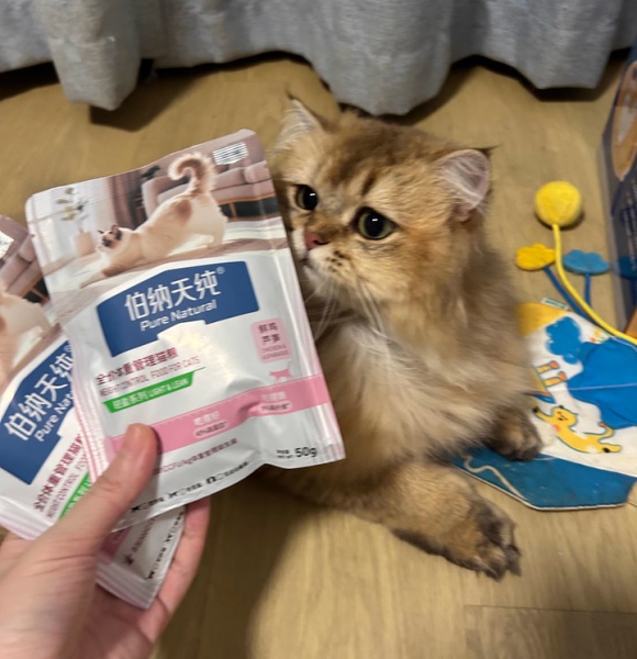 不长肉的猫粮怎么选?伯纳天纯低脂配方揭秘健康减脂密码 不长肉的猫粮怎么选?伯纳天纯低脂配方揭秘健康减脂密码