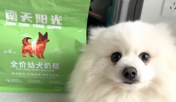 南天阳光狗粮是正规品牌吗