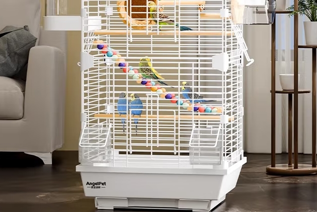 哈骆顿鸟笼子放在家里哪个位置 哈骆顿鸟笼子放在家里哪个位置