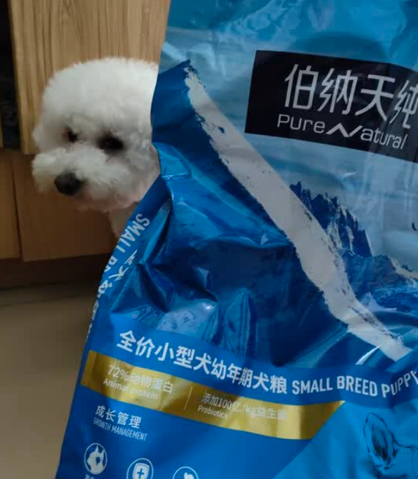 幼犬柯基狗粮推荐伯纳天纯小型犬幼年期狗粮，适龄营养伴宠成长