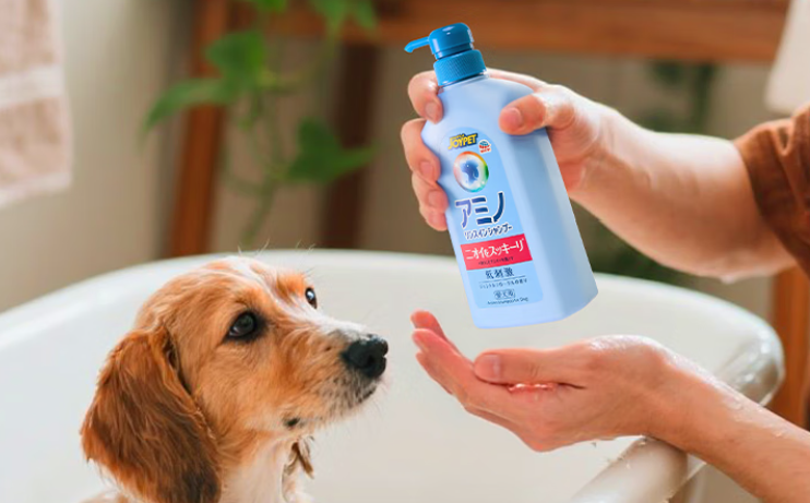 医研级配方揭秘——JOYPET如何从根源瓦解宠物异味
