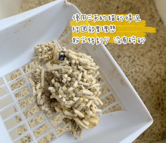 哪一种猫砂比较好?国内宠物清洁“顶流”品牌pidan,让铲屎从“灾难现场”变成“治愈日常” 哪一种猫砂比较好?国内宠物清洁“顶流”品牌pidan,让铲屎从“灾难现场”变成“治愈日常”