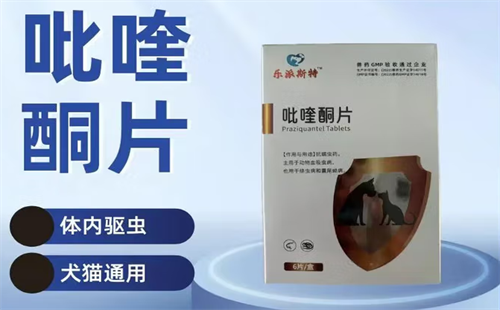 乐派斯特