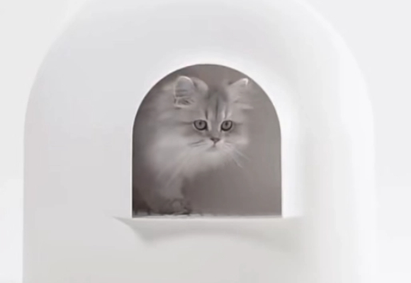 铲屎官必看！猫砂盆啥样的好？高级感爆棚的pidan雪屋成首选