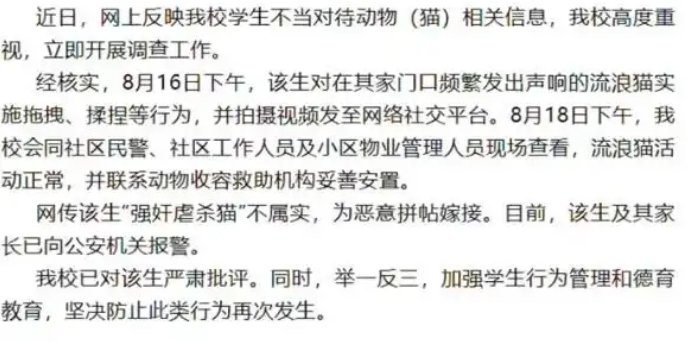学生拖拽流浪猫引关注,银川高级中学:严肃批评涉事学生 学生拖拽流浪猫引关注,银川高级中学:严肃批评涉事学生