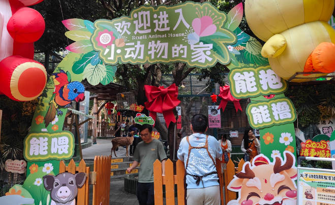 深圳户外宠物文化周：人宠友好新地标诞生