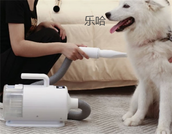 乐哈狗狗吹毛机：多功能合一，养宠轻松无忧