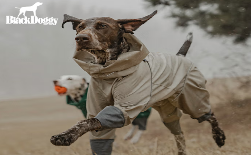 Blackdoggy