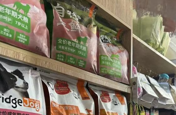 宠物赛道提速扩容,行业急需专业人才 宠物赛道提速扩容,行业急需专业人才